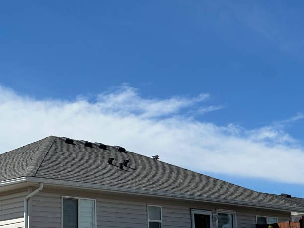 Best Wood Shake Roofing  in Wildwood, MO